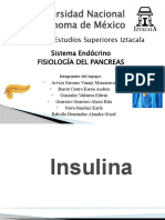 Insulina Endo (1) (1)