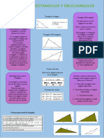 Cartel Triangulos Rectangulos y Oblicuangulos