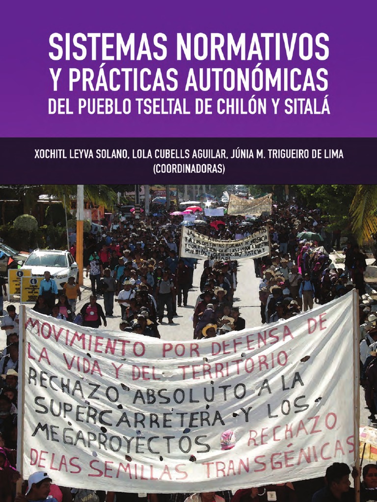 Sistemas Normativos Pueblo Tseltal | PDF | México | Gobierno