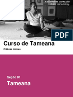 Tameana Workshop Prácticas Iniciales Traduzido