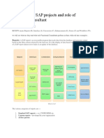 RICEFW's Role of Functional Consultants