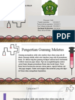 Satuan Acara Penyuluhan (Gunung Meletus)