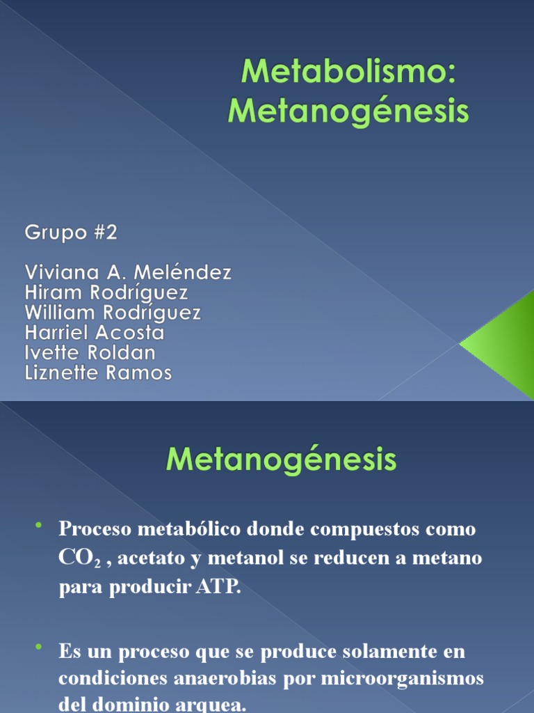 Metanogénesis: Proceso y Microorganismos | PDF | Redox | Archaea