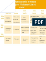 Cuadro Comparativo