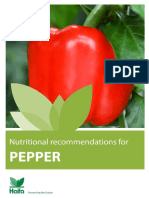 Fertilizer Peppers Guide