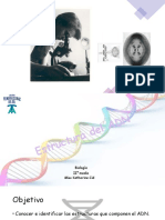 Estructura Del ADN 24.05.21