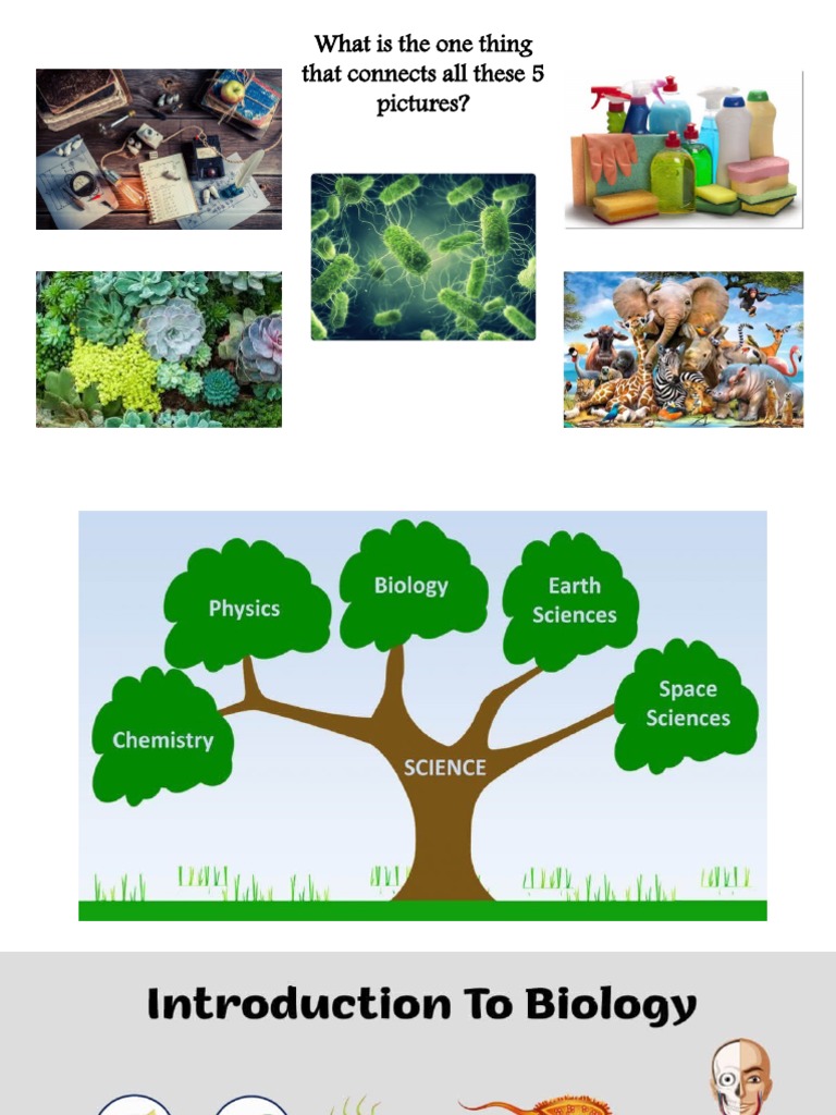 What Is The One Thing That Connects All These 5 Pictures? | PDF | Self ...