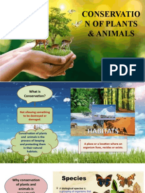 Conservation of Plants and Animals | PDF | Deforestation | Biodiversity