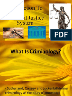 Introduction To Criminal Justice System