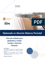 13 Guia Del Plan Integral de Atención A La Gestante y El Recien Nacido - Atencion Integral