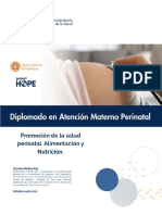 15 Guía - Promoción de La Salud Perinatal Alimentación y Nutrición