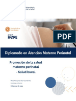 17 Promoción de La Salud Materno Perinatal - Salud Bucal