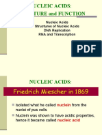 Nucleic Acids: Structure and Function