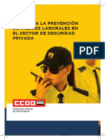 Riesgos Seguridad Privada