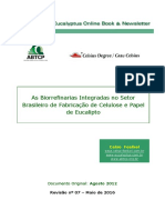 PT29 BiorrefinariasCelulosePapel