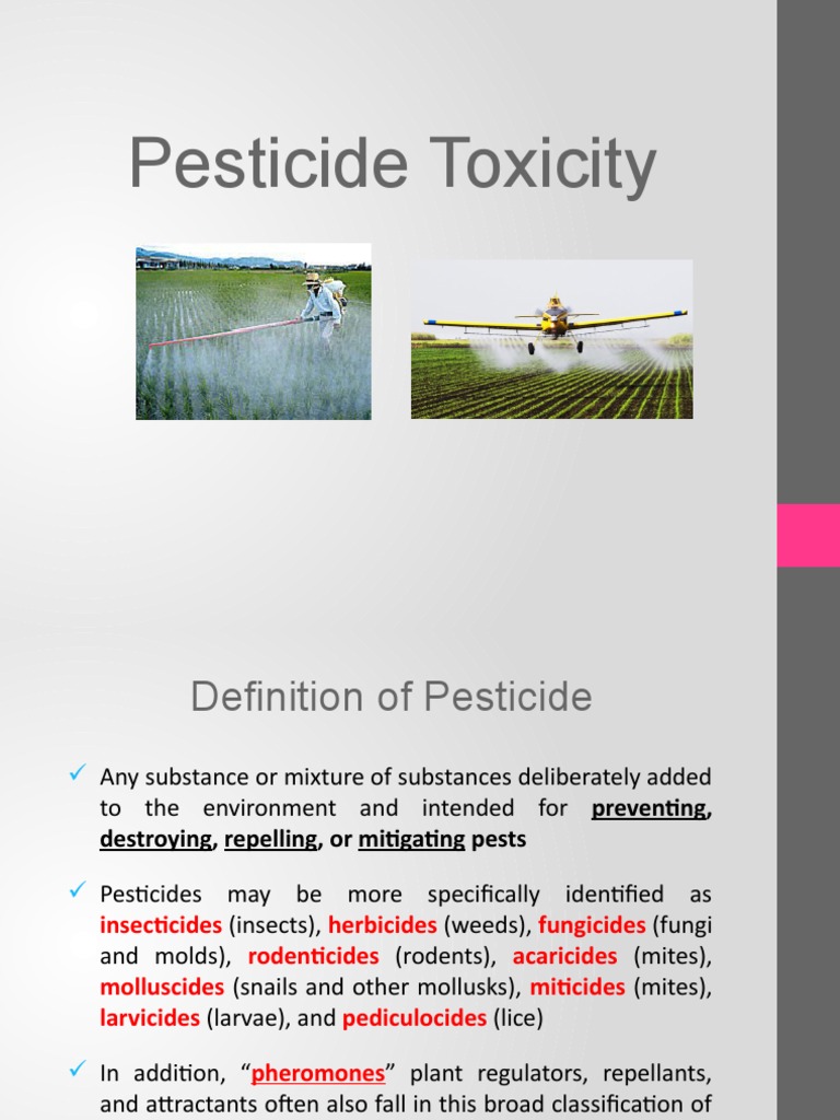 Understanding Pesticide Toxicity | PDF | Pesticide | Acetylcholine