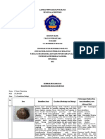 Laporan Praktikum 3 Ekologi