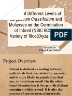 Effect of Different Levels of Molasses On The Germination of Inbred (NSIC RC222) Variety of Rice (Oryza Sativa)