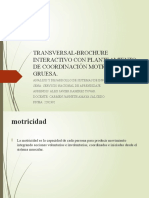 Transversal-brochure Interactivo Con Planteamiento de Coordinación Motriz Fina
