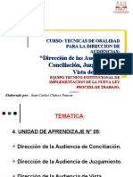 DIRECCION DE AUDIENCIAS DE CONCILIACION, JUZGAMIENTO Y VISTA DE LA CAUSA