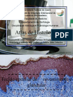 Atlas de Histologia Unilab - Tecido epitelial