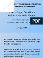 Endogamia e heterose em plantas