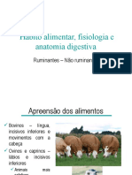 Aula 04 - Fisiologia e Anatomia Dos Animais