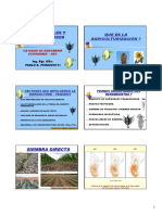 PowerPoint - V - CEREALES Y OLEAGINOSOS 2013