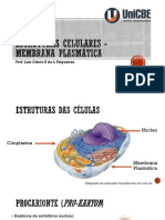 Aula 3 Estruturas Celulares - Membrana Plasmática 2021-1
