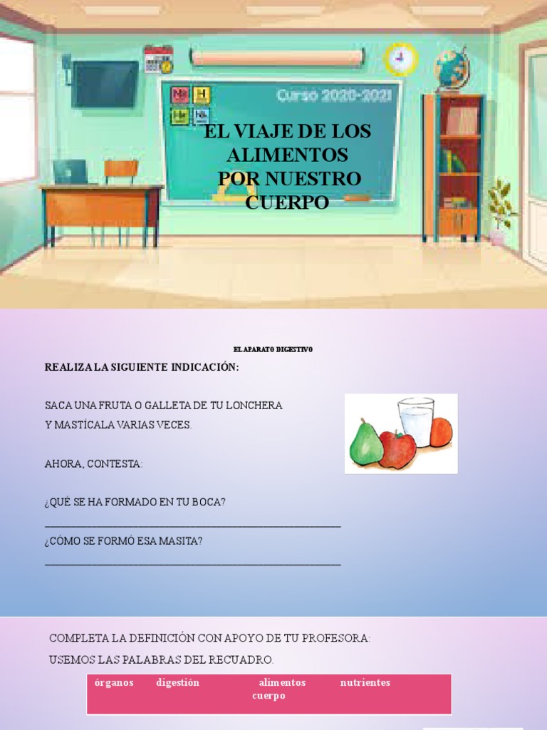 El Viaje De Los Alimentos Por Nuestro Cuerpo Pdf Sistema Digestivo