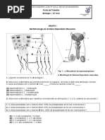 Ficha de Trabalho Reprodução 2