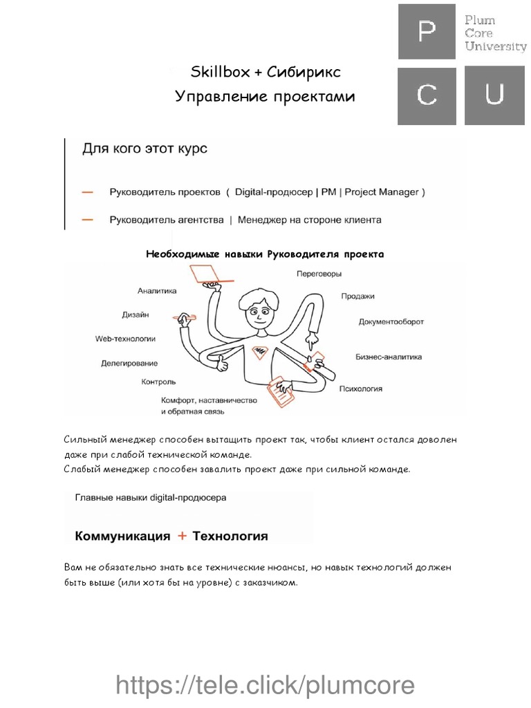 (Skillbox & Sibirix & Tagline) Управление Digital проектами | PDF