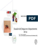 SE05-dengue_diresaica_05-02-2022