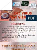 Virus Gây Viêm Gan