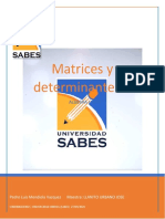 Matrices y determinantes II: Forma escalonada y rango