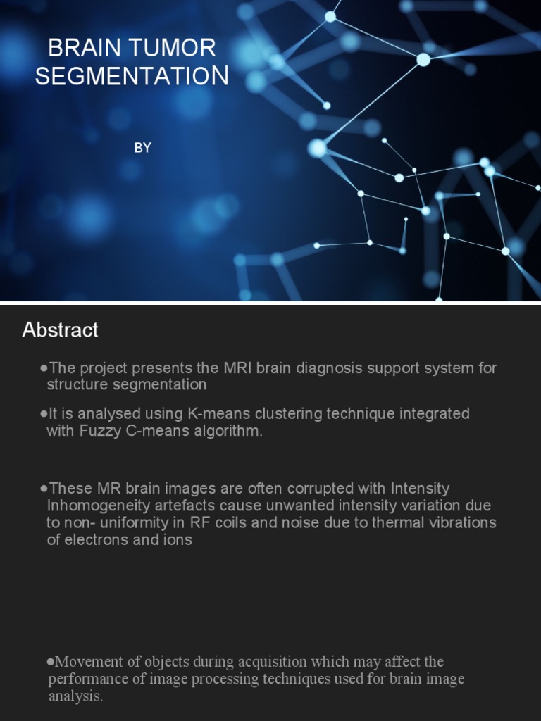 Brain Tumor Segmentatio | PDF | Image Segmentation | Magnetic Resonance ...