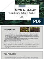 Project Work - Biology (Class Ix)