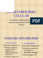 El Metabolismo Celular