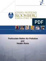 Particulate Matter Air Pollution and Health Risks