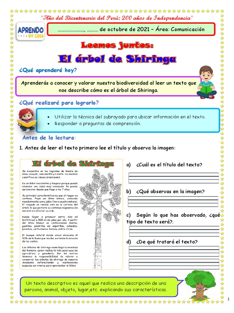 Procesos de extracción y transformación del látex de shiringa | PDF ...