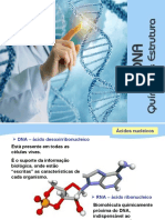 1- O DNA - química e estrutura (1)