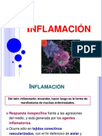 IMNO Clase 05 Inflamacion