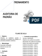 Treinamento Auditoria de Padrão