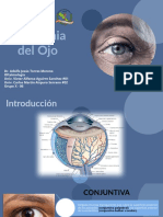 Anatomia Del Ojo (EXPO)