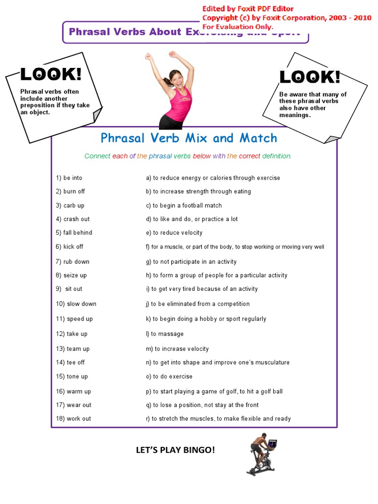 Phrasal Verb Mix and Match PDF Skeletal Muscle Massage