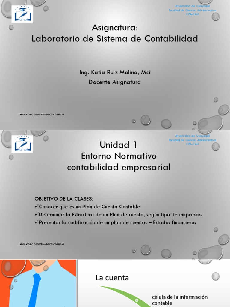 Plan de Cuentas Contables Empresariales | PDF | Contabilidad | Business