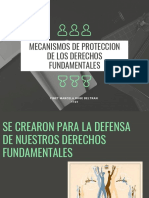 Mecanismos de Proteccion de Los Derechos Fundamentales