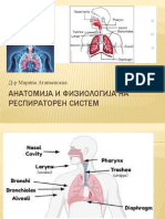 Анатомија и Физиологија На Респираторен Систем