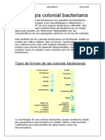 Morfología Colonial Bacteriana