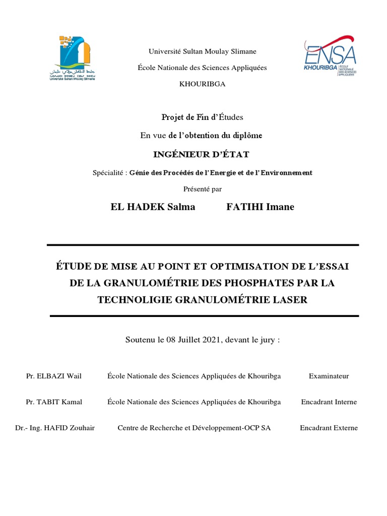 Rapport de Pfe | PDF